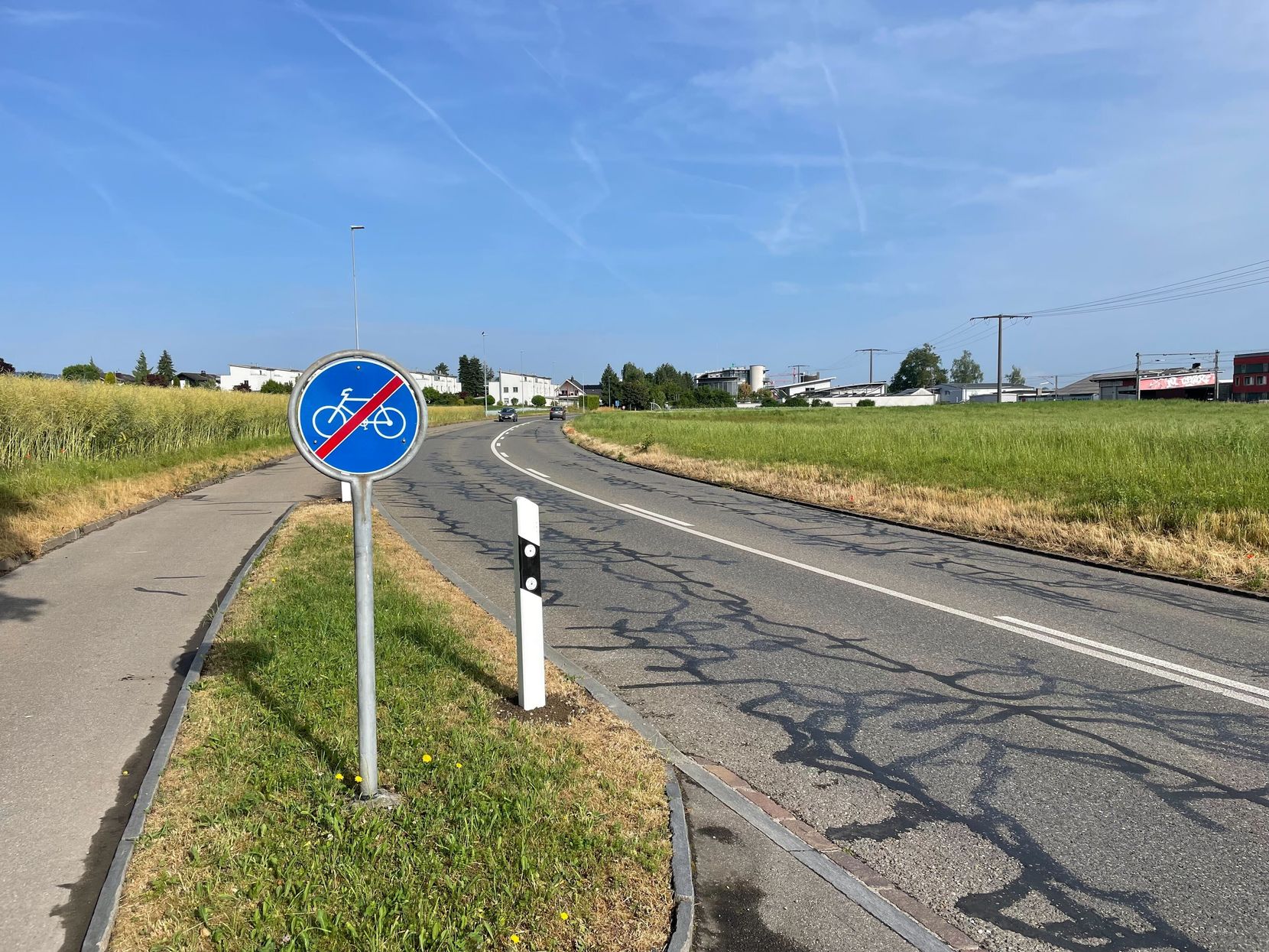 Bild einer Strasse mitsamt Trottoir und Grünstreifen. 